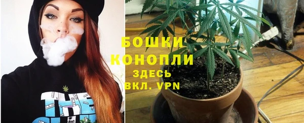 ПСИЛОЦИБИНОВЫЕ ГРИБЫ Волосово