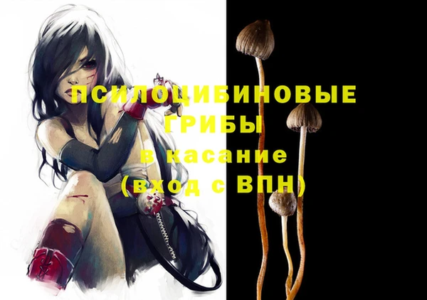 ПСИЛОЦИБИНОВЫЕ ГРИБЫ Волосово