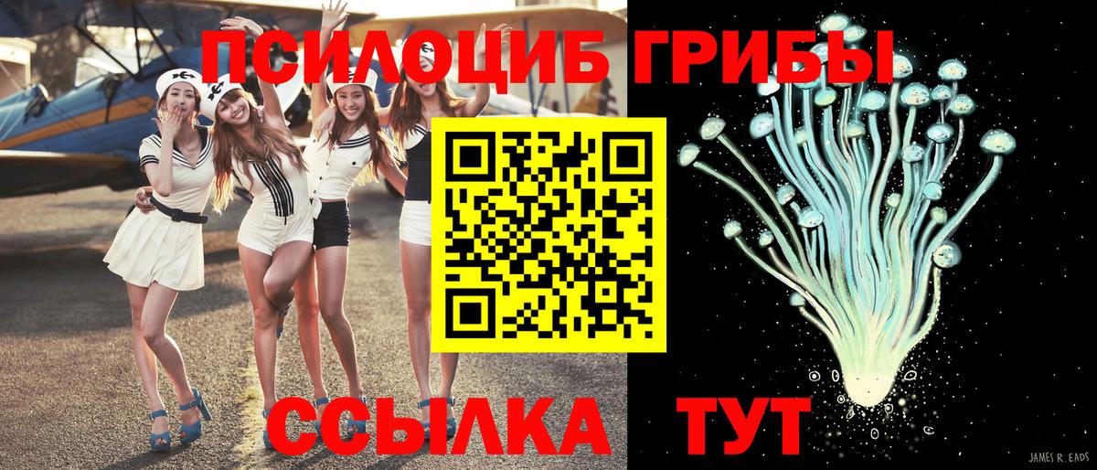 Псилоцибиновые грибы MAGIC MUSHROOMS  Псилоцибиновые грибы Magic Shrooms  Геленджик 